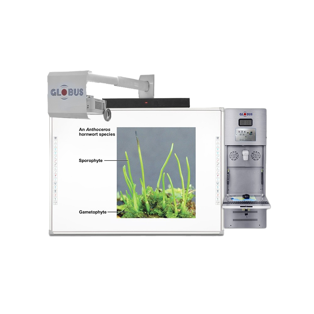 Digital Teaching Solution