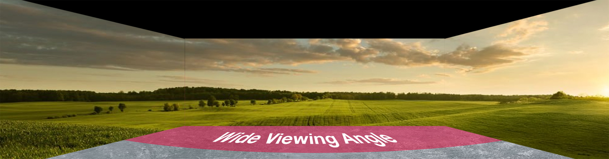 Wide Viewing Angles for Exceptional Clarity Wide Viewing Angles for Exceptional Clarity